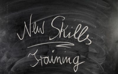 Back to School: Training Programs vs. Apprenticeships