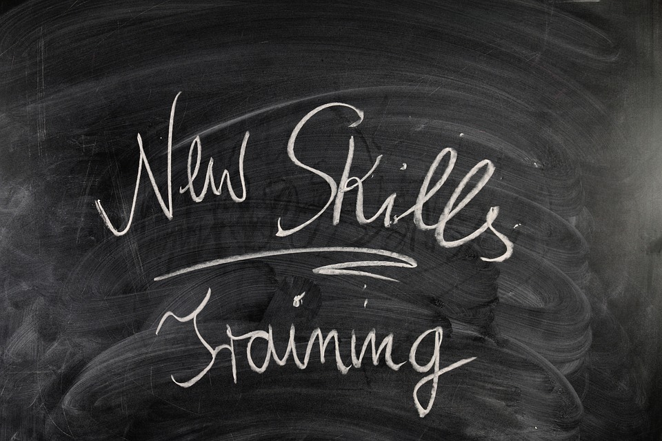 Back to School: Training Programs vs. Apprenticeships